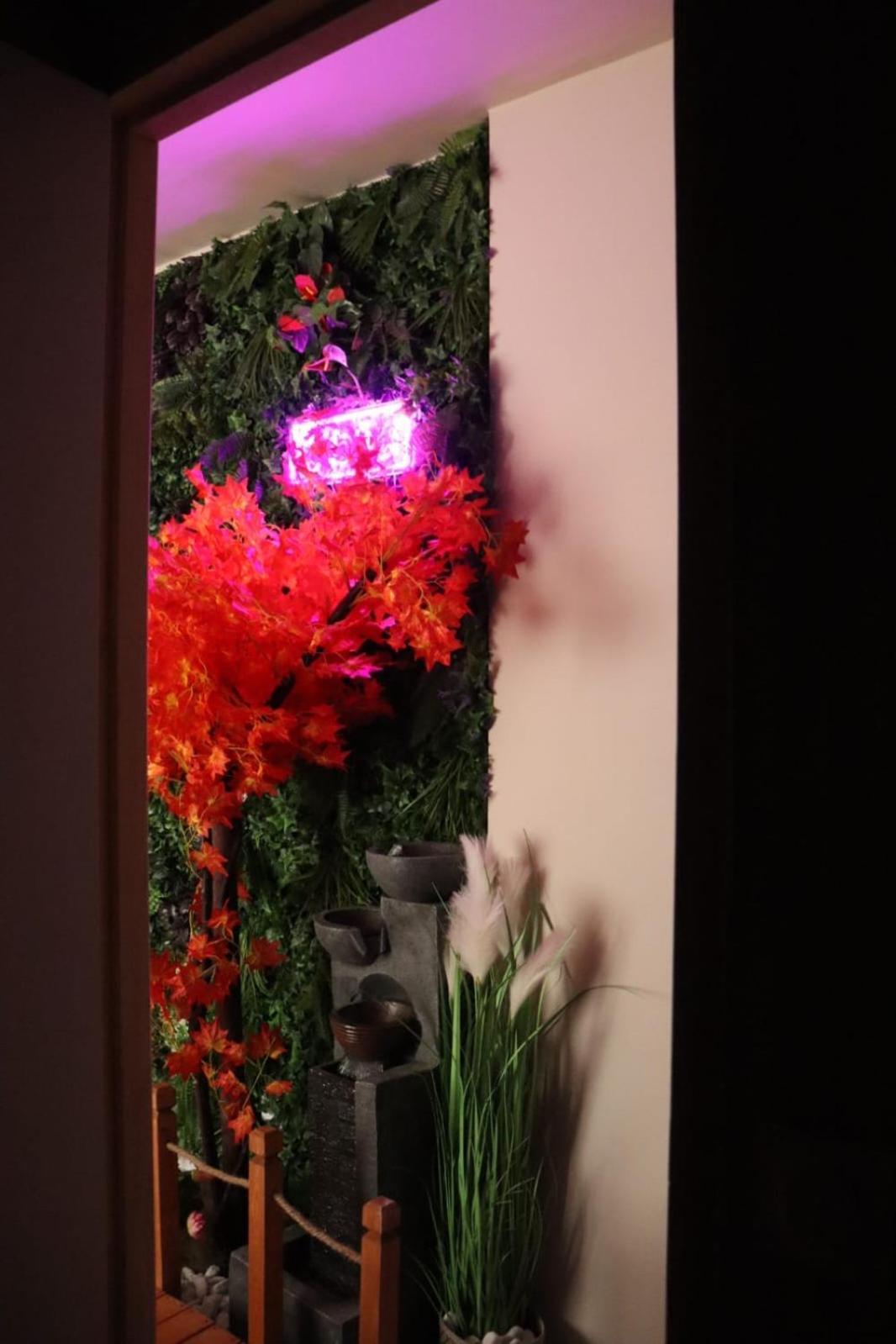 Loveroom Japon Avec Balneotherapie 툴롱 외부 사진