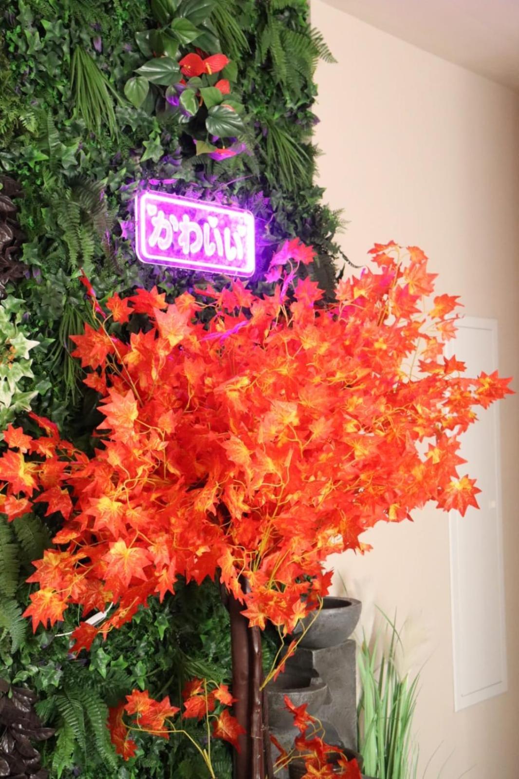 Loveroom Japon Avec Balneotherapie 툴롱 외부 사진